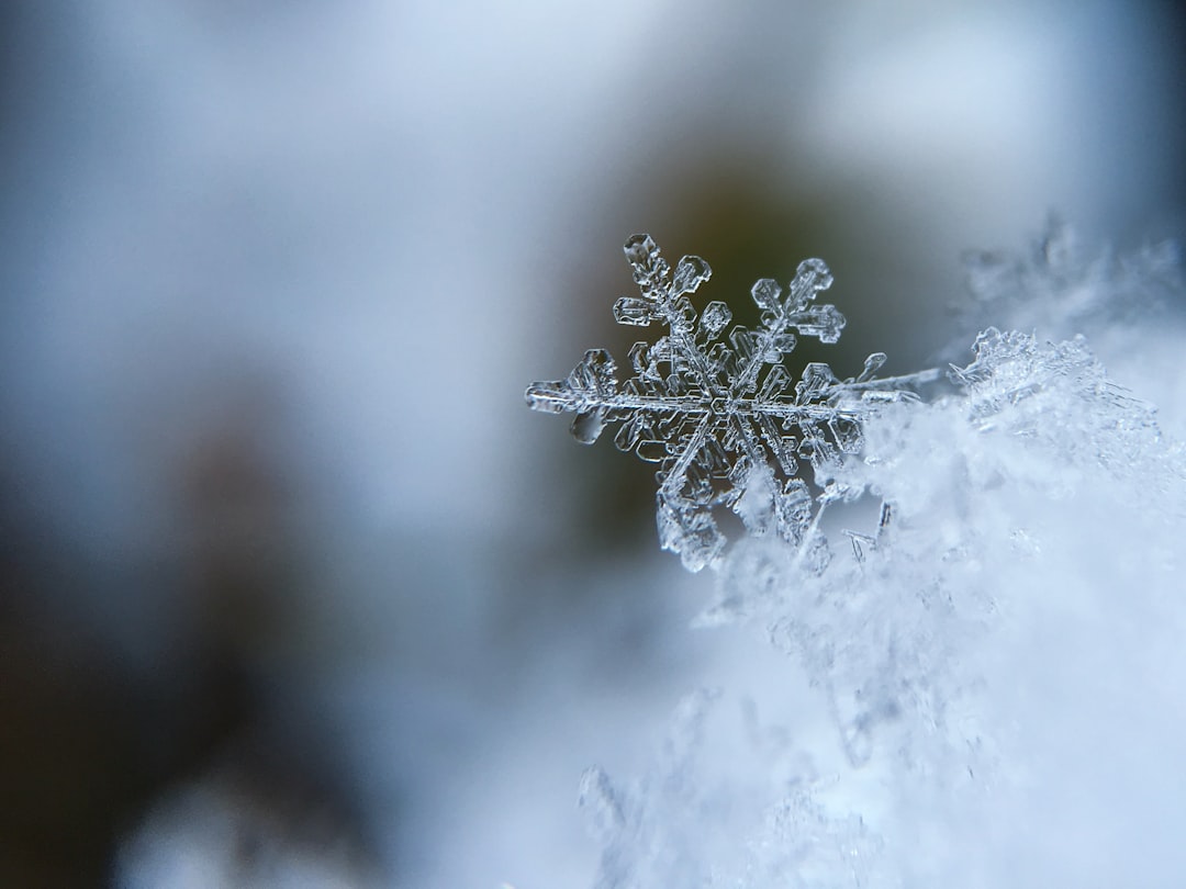 focused photo of a snow flake focused photo of a snow flake